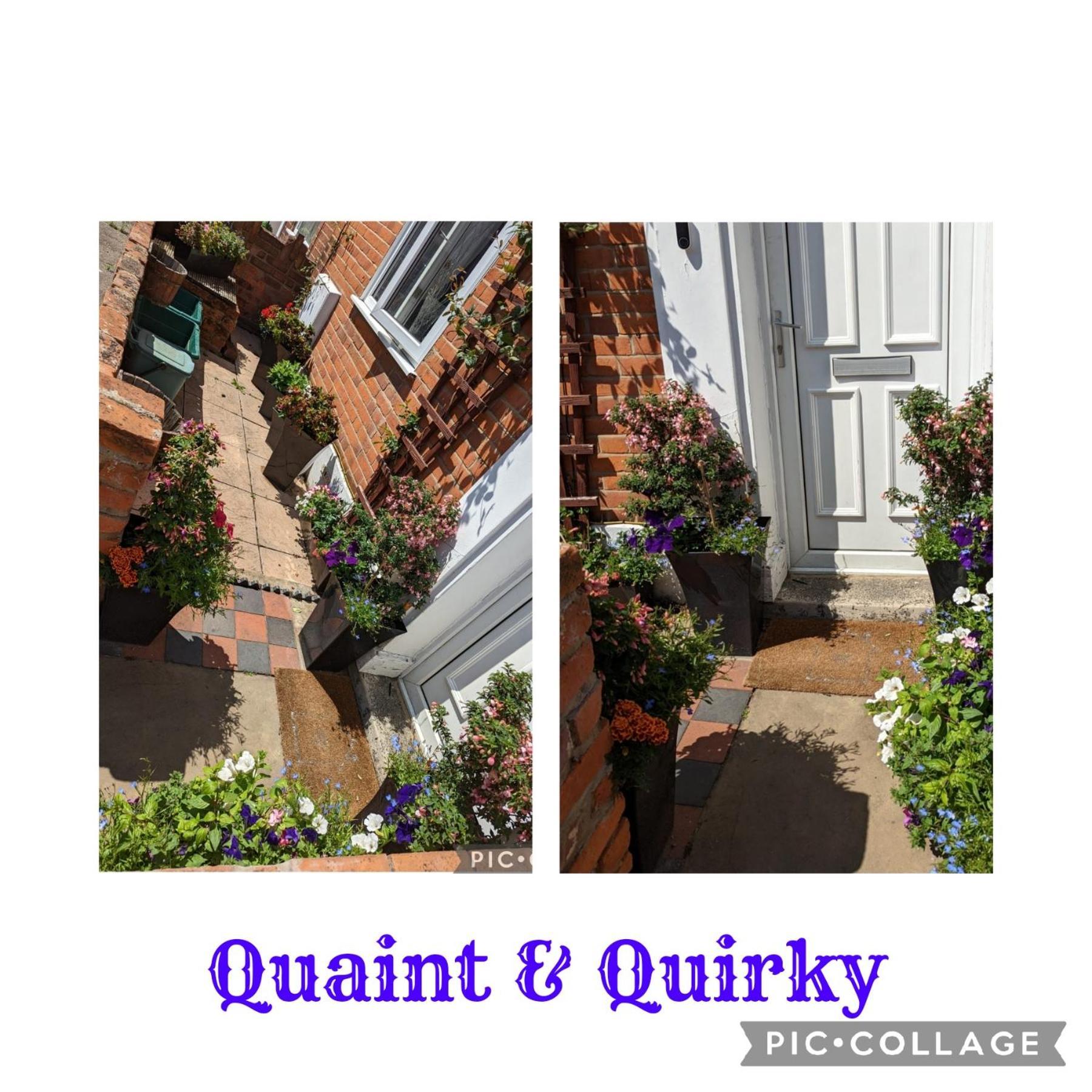 Quaint & Quirky House Colchester Town Centre Dış mekan fotoğraf